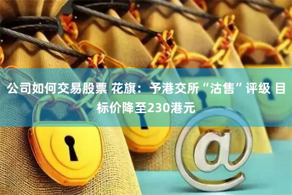 公司如何交易股票 花旗：予港交所“沽售”评级 目标价降至230港元