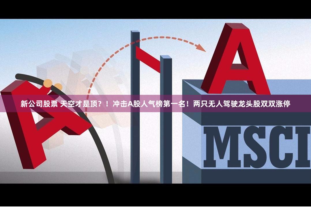 新公司股票 天空才是顶？！冲击A股人气榜第一名！两只无人驾驶龙头股双双涨停