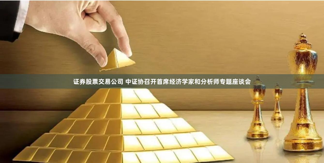 证券股票交易公司 中证协召开首席经济学家和分析师专题座谈会