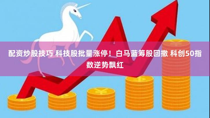 配资炒股技巧 科技股批量涨停！白马蓝筹股回撤 科创50指数逆势飘红