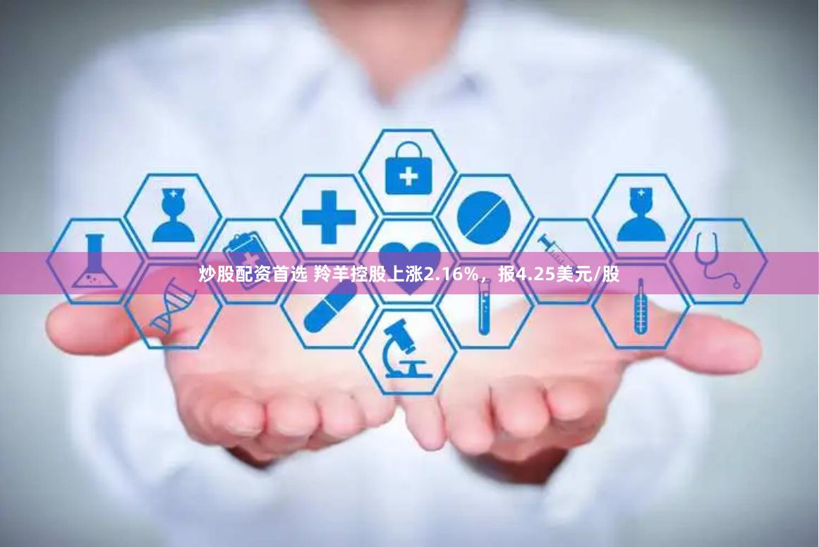 炒股配资首选 羚羊控股上涨2.16%，报4.25美元/股