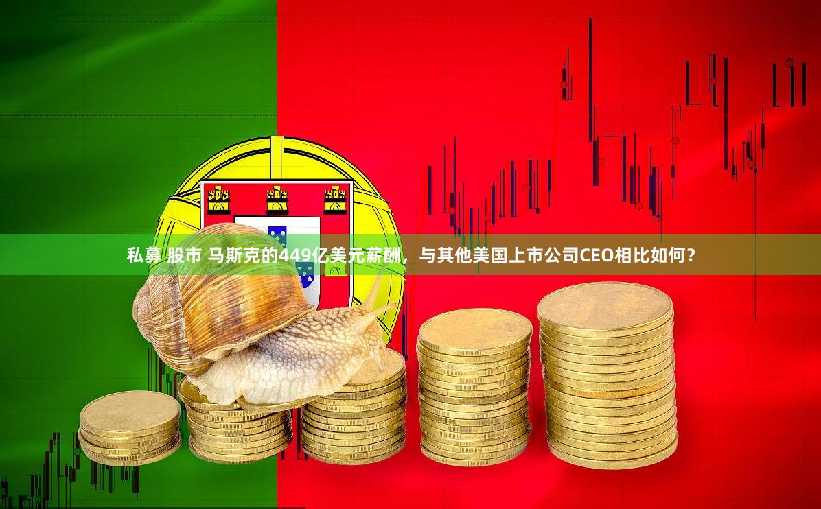 私募 股市 马斯克的449亿美元薪酬，与其他美国上市公司CEO相比如何？
