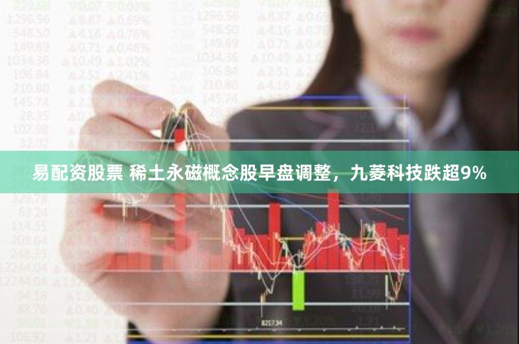 易配资股票 稀土永磁概念股早盘调整，九菱科技跌超9%