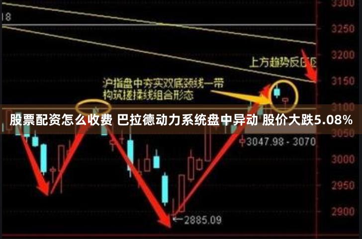 股票配资怎么收费 巴拉德动力系统盘中异动 股价大跌5.08%