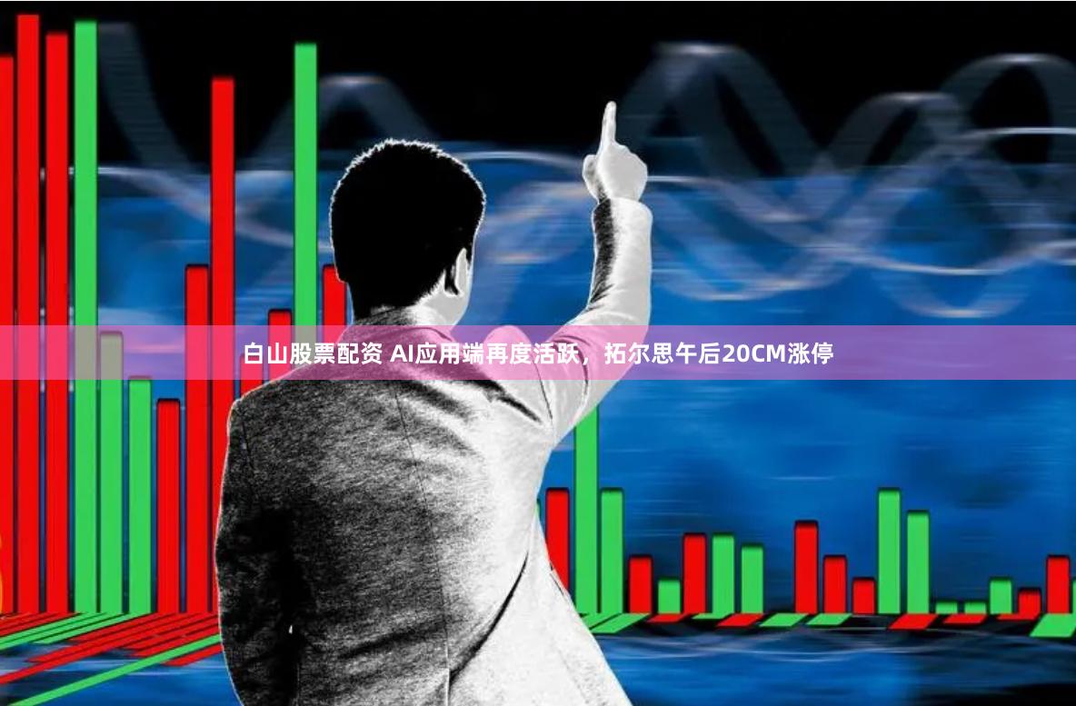 白山股票配资 AI应用端再度活跃，拓尔思午后20CM涨停