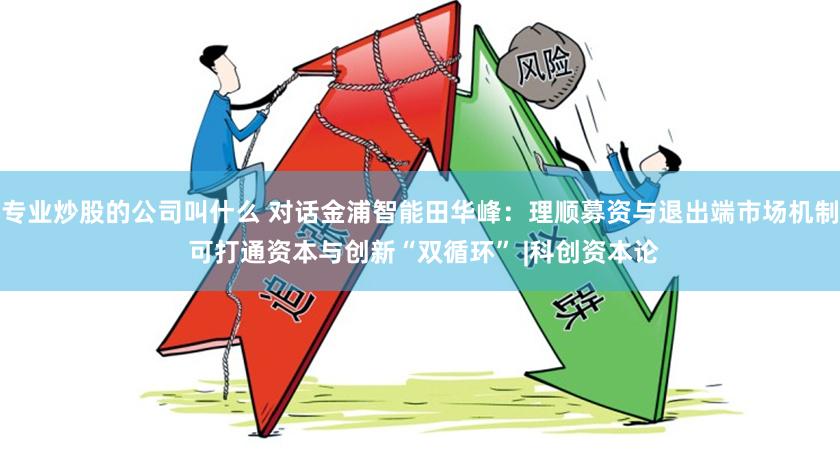 专业炒股的公司叫什么 对话金浦智能田华峰：理顺募资与退出端市场机制 可打通资本与创新“双循环” |科创资本论
